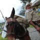 Mesmo transportando boa parte de seus grãos de café em veículos motorizados, a Colômbia ainda abriga boa quantidade de arrieros (tropeiros) que, sempre ao lado de suas mulas carregadas, continuam sendo uma das imagens mais tradicionais do país - Marcel Vincenti/UOL