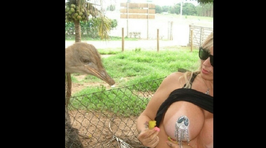 20.fev.2013 - A DJ e modelo Sabrina Boing Boing exibiu o seio para um avestruz em um zoológico. A imagem foi divulgada por Sabrina por meio de sua página do Twitter