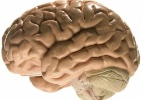 Que parte do cérebro controla a leitura? - Thinkstock