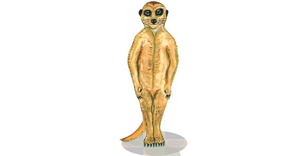 ilustração do livro aprendendo com os bichos - yoga para crianças - Joãocaré/WMF Martins Fontes