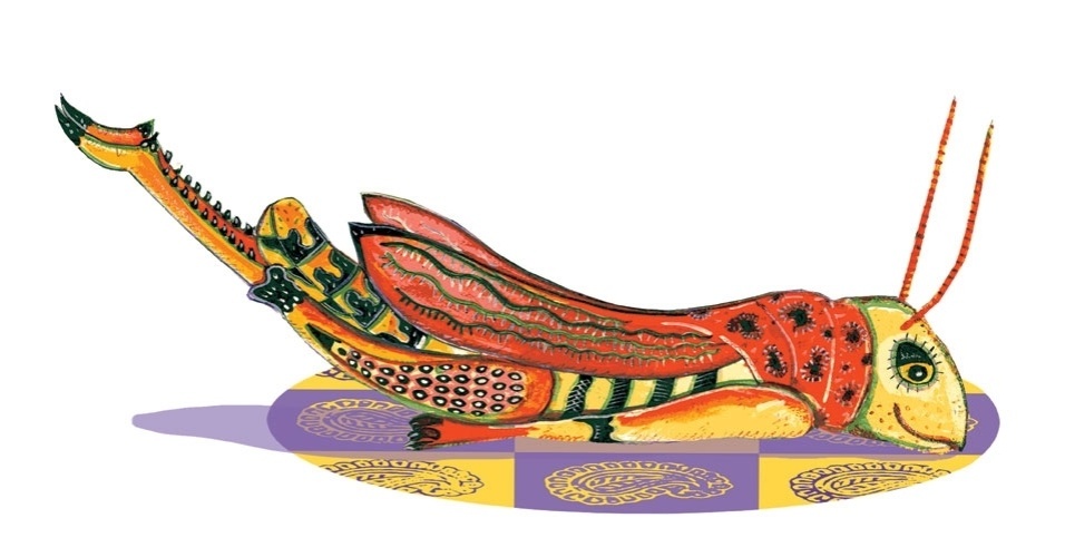 ilustração do livro aprendendo com os bichos - yoga para crianças - Joãocaré/WMF Martins Fontes