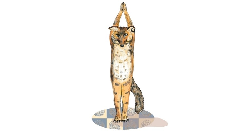 ilustração do livro aprendendo com os bichos - yoga para crianças - Joãocaré/WMF Martins Fontes