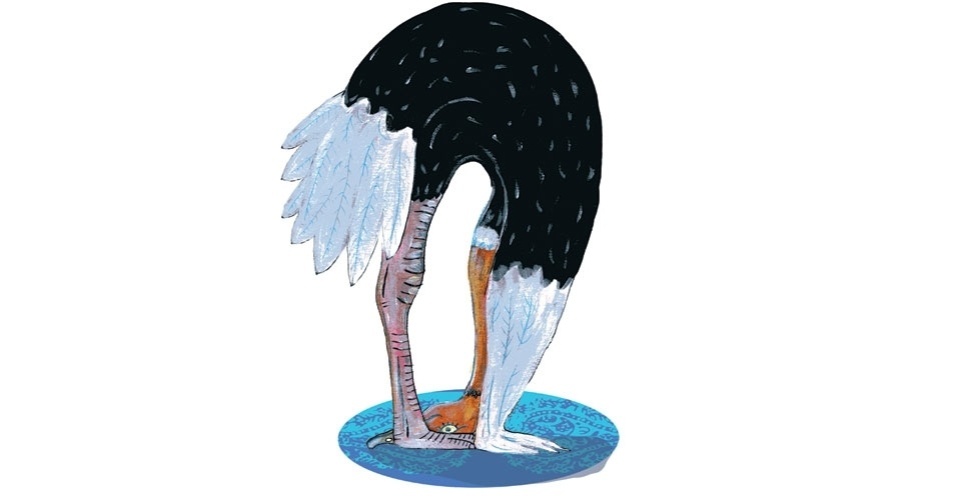 ilustração do livro aprendendo com os bichos - yoga para crianças - Joãocaré/WMF Martins Fontes