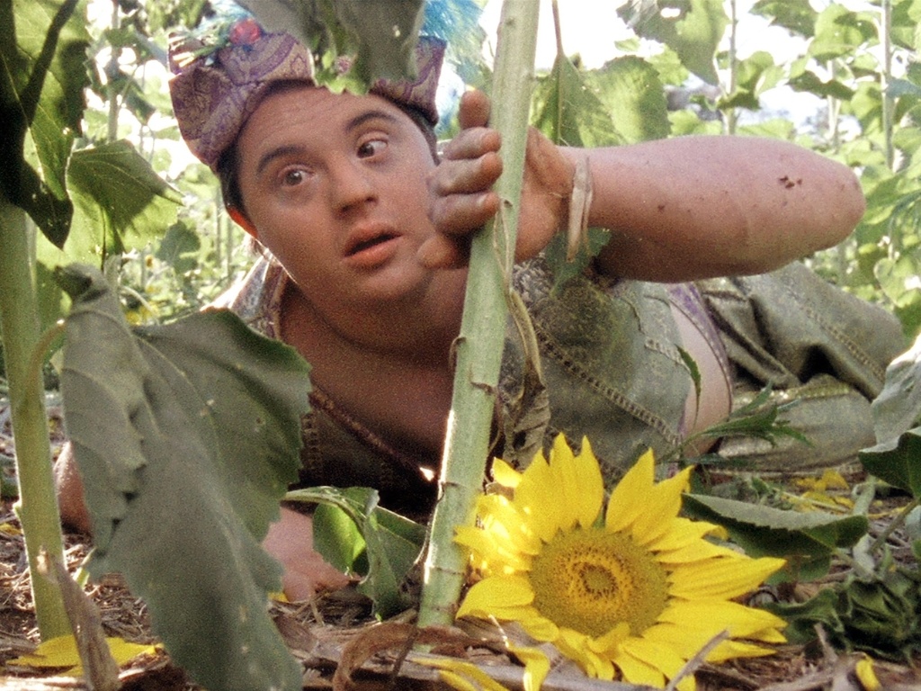 Cena do filme brasileiro "Colegas", dirigido por Marcelo Galvão. Vencedor do Festival de Cinema de Gramado em 2012, o longa mostra uma aventura de três jovens portadores da síndrome de Down, que resolvem imitar as personagens do filme "Thelma e Louise" e saem em busca de sonhos dentro do carro de um jardineiro. O elenco conta com Lima Duarte, Leonardo Miggiorin e Juliana Didone - Divulgação / Europa Filmes