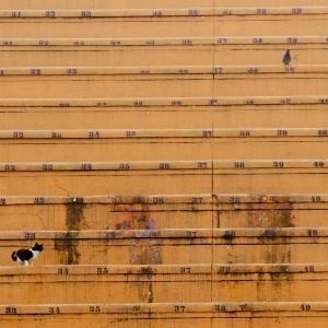 27.fev.2013 - Pacaembu com as arquibancadas vazias para o jogo entre Corinthians e Millonarios - Joel Silva/ Folhapress