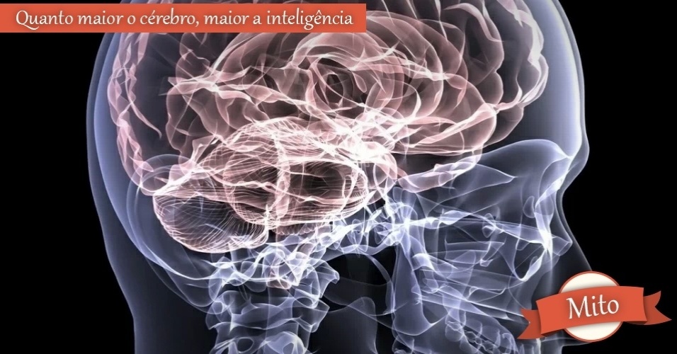 arte para mito ou verdade - Shutterstock