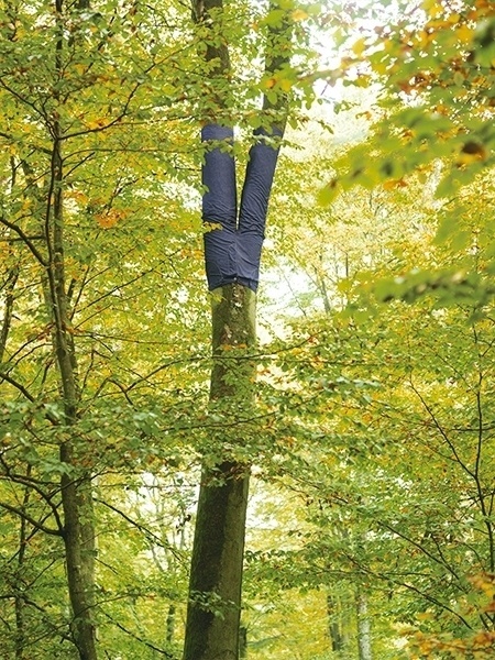 "Pé de Jeans", do artista norte-americano Peter Coffin e da marca brasileira Ellus: árvores da cidade de São Paulo serão vestidas com calças jeans da Ellus - Divulgação