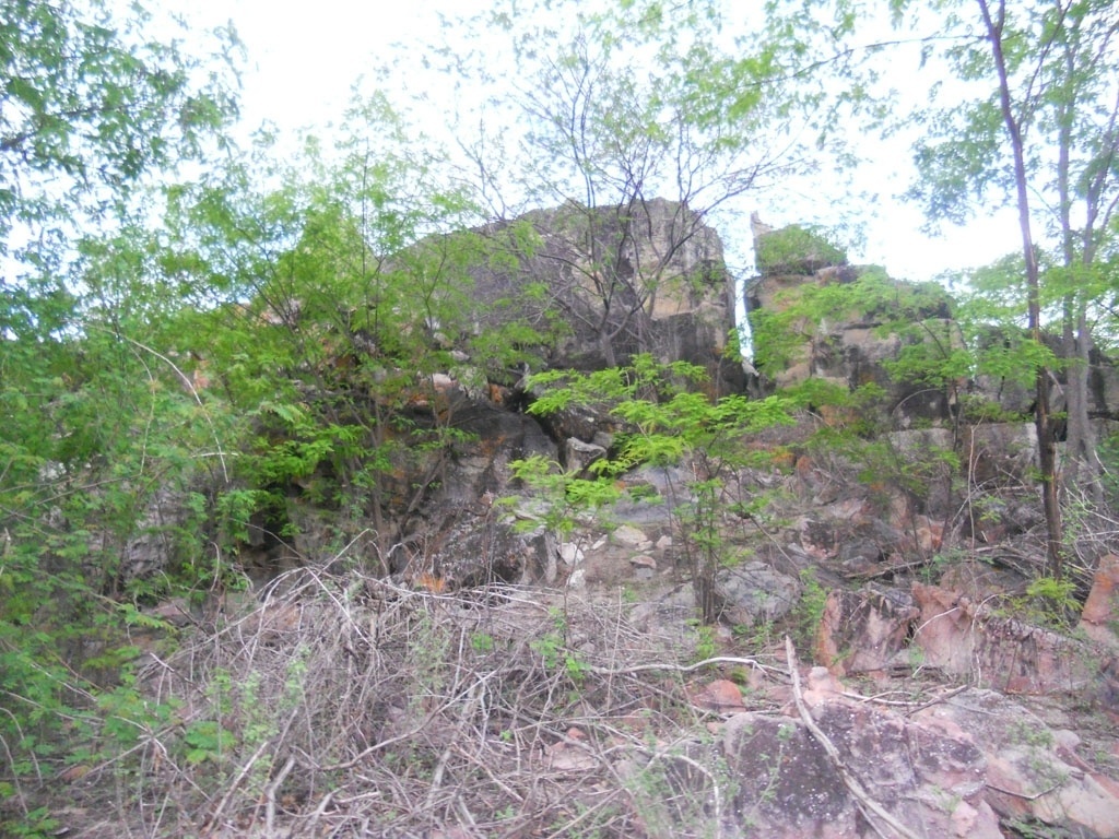 10.mar.2013 - Ambientes rochosos e de pedregulhos são o habitat do rato-rabudo em Assunção do Piauí - Aliny Gama/UOL