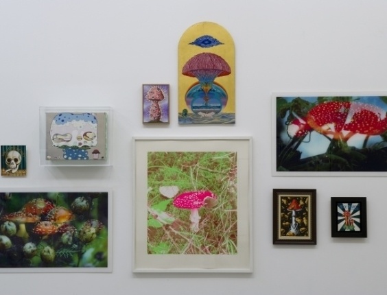Vários artistas se inspiraram nos cogumelos alucinógenos para criar diferentes obras que podem ser vistas na exposição “Sob Influências” na galeria Maison Rouge, em Paris, até 19 de maio - Divulgação