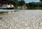 Após mortandade, 2,8 t de peixes foram pescadas na lagoa Rodrigo de Freitas - Carlos Moraes/Agência O Dia/Estadão Conteúdo