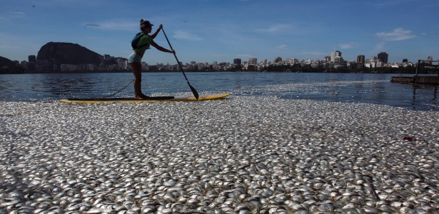 Mulher rema entre os peixes mortos da Lagoa Rodrigo de Freitas na manhã da quarta-feira passada (13)