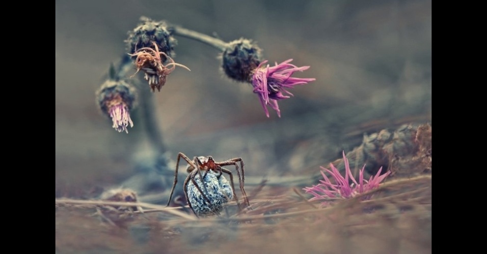 Competição de fotografia da Sony premiou fotógrafos amadores de várias partes do mundo que captaram aspectos interessantes sobre diferentes culturas - Matarov