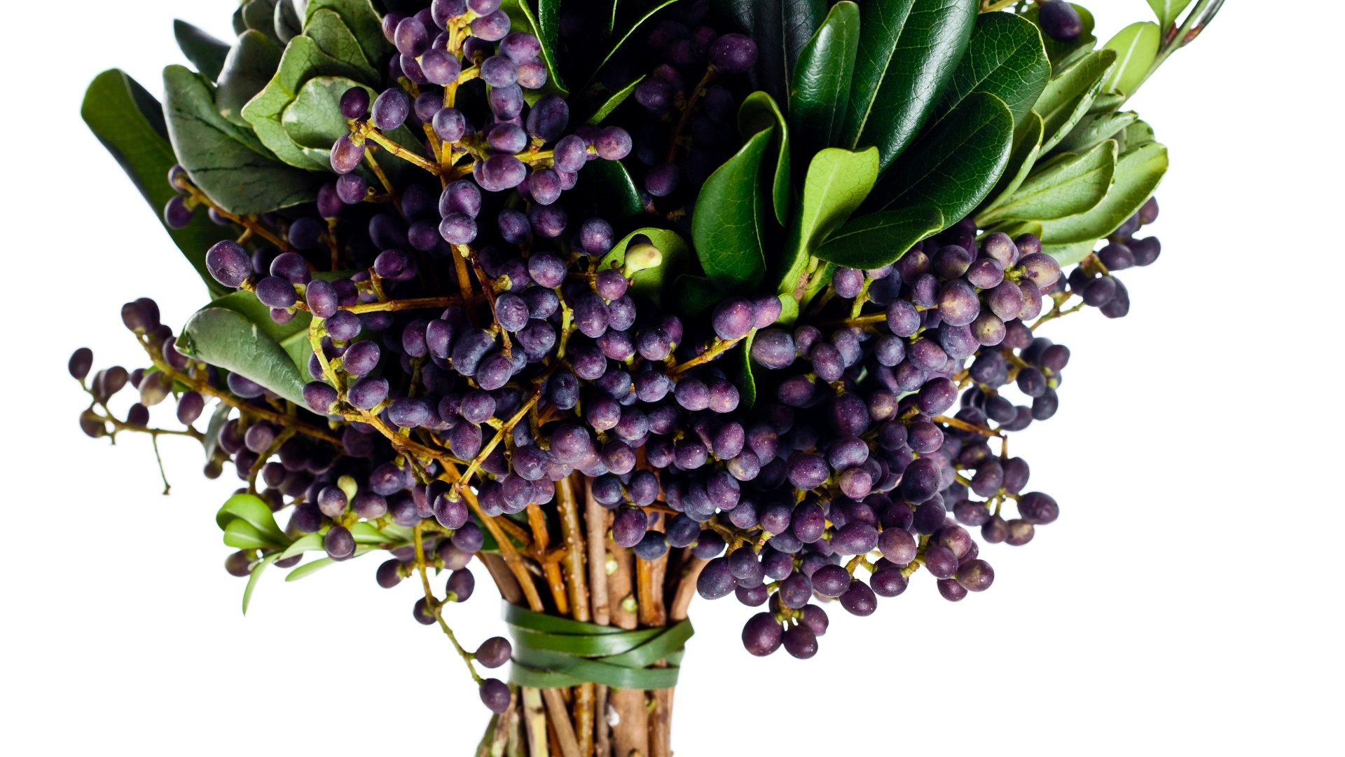 Arranjo de buxinho, ligustro e pittosporum; por R$ 1.200,00, Emannuelle Junqueira (www.emannuellejunqueira.com.br). Preço pesquisado em março de 2013 e sujeito a alterações - Divulgação