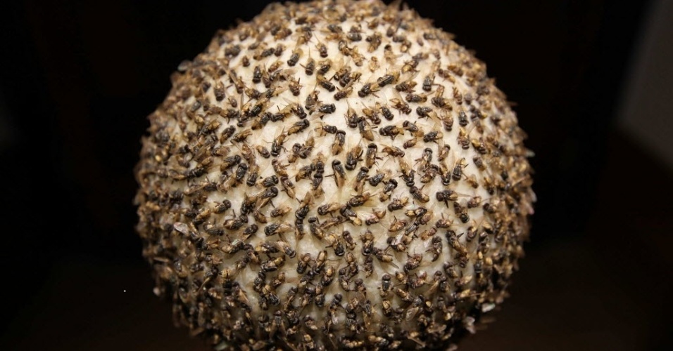 22.mar.2013 - Detalhe da obra "Sol Negro", da artista colombiana María Fernanda Cardoso, que faz parte da exposição "Cantos Contos Colombianos". A partir deste sábado (23), a sede no Rio de Janeiro da Casa Daros exibe 75 obras de dez artistas colombianos da atualidade. - EFE/Marcelo Sayão