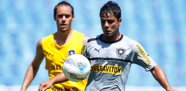 Henrique conta com a ajuda de Lima para se alongar em treinamento do Botafogo - Wagner Meier/Agif