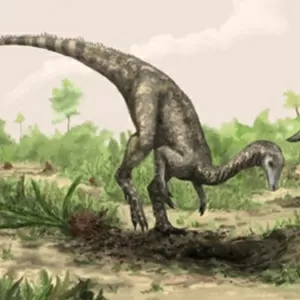 Dinossauro africano mais antigo é descoberto - Nerdizmo