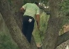 Bola fica presa, e golfista tem que subir em árvore para dar tacada; assista - Reprodução