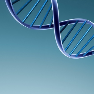 Todo mundo herda alterações no DNA, mas se estas mutações são perigosas ou não depende de onde está o erro no código genético - SXC