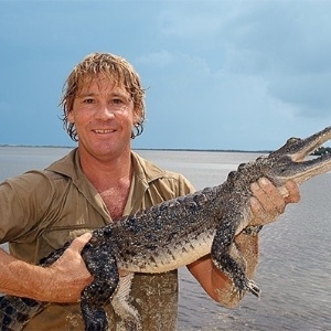 Steve Irwin morreu fazendo o que mais amava, ficando perto de animais perigosos. Ele morreu aos 44 anos, ao ser perfurado por um espinho venenoso de uma arraia, durante as filmagens de seu documentário para TV