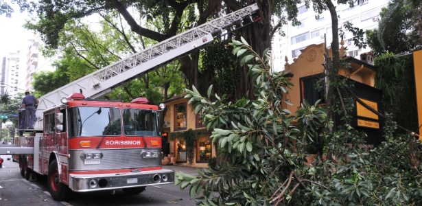 Árvore cai na rua Bela Cintra, na tarde desta terça-feira (02), em São Paulo. Ninguém ficou ferido. O Corpo de Bombeiros está no local cortando os galhos - J. Duran Machfee/Futura Press