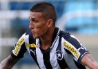 Botafogo encara Friburguense pela Taça Rio - Fabio Castro/Agif