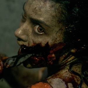 Evil Dead: A Morte do Demônio - Arquivos Mortos (2013)