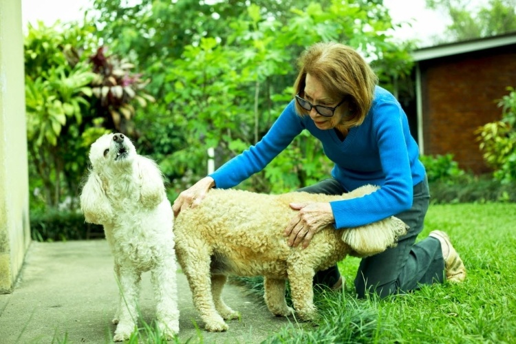 15/9/2009 -  Cleyde Yaconis, no jardim de sua casa, em Cajamar - Patricia Stavis/Folha Imagem