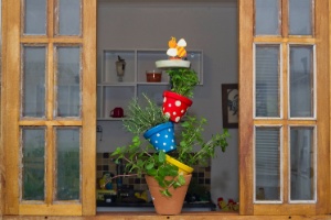 Monte uma horta ou floreira vertical com comedouro e atraia os passarinhos - Fernando Donasci/ UOL