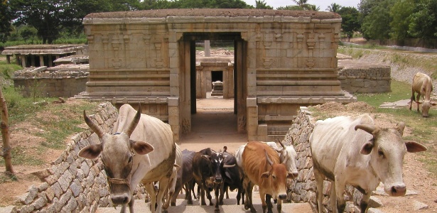 Divulgação/Global Heritage Fund