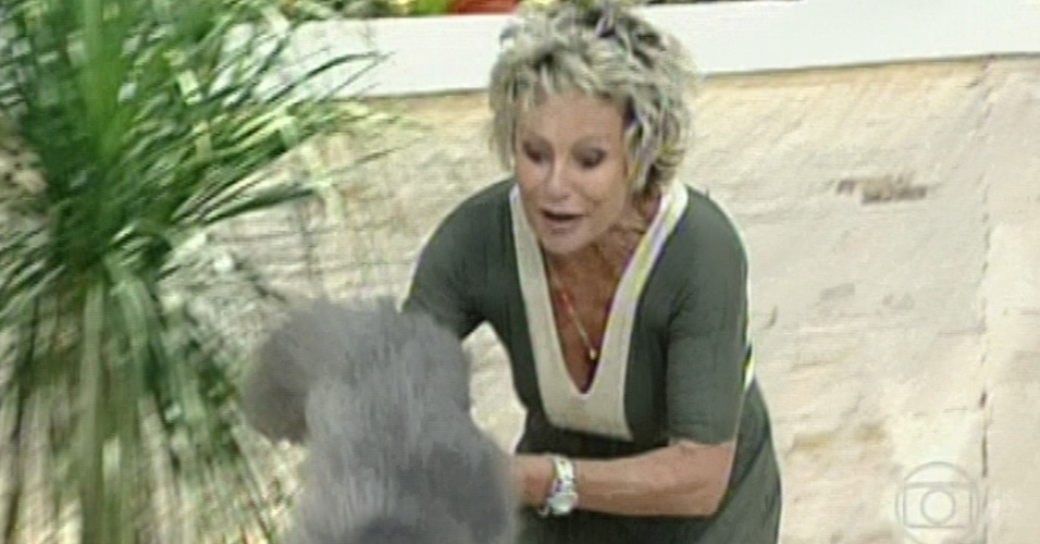 Gato pula do colo de Ana Maria Braga durante programa