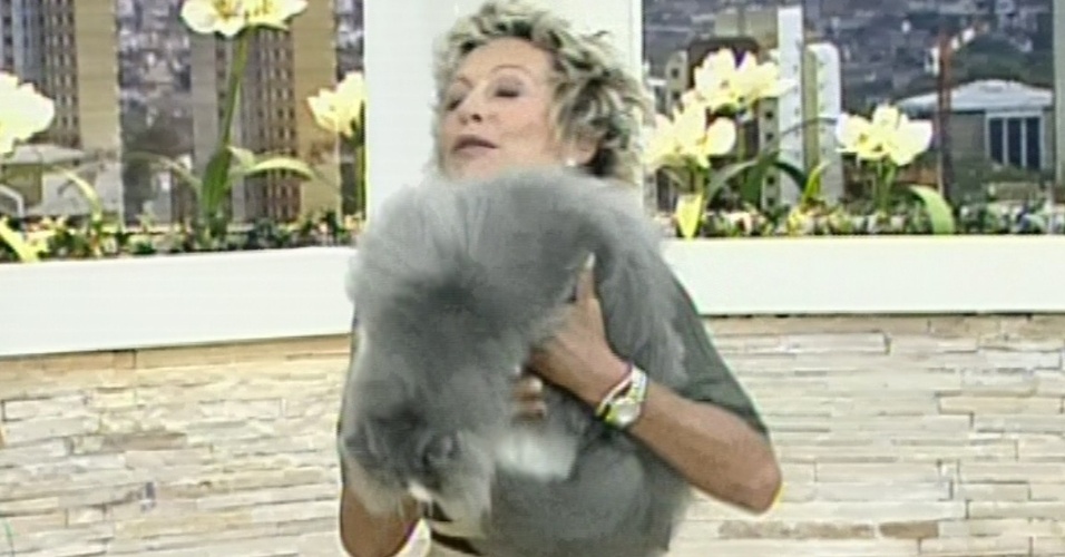Gato pula do colo de Ana Maria Braga durante programa