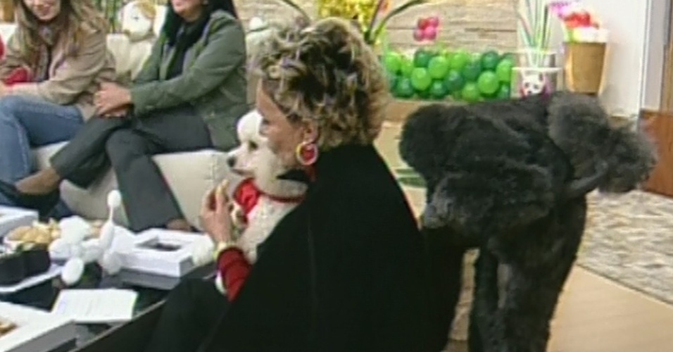 Poodle faz xixi em Ana Maria Braga durante programa ao vivo com presença de cachorros