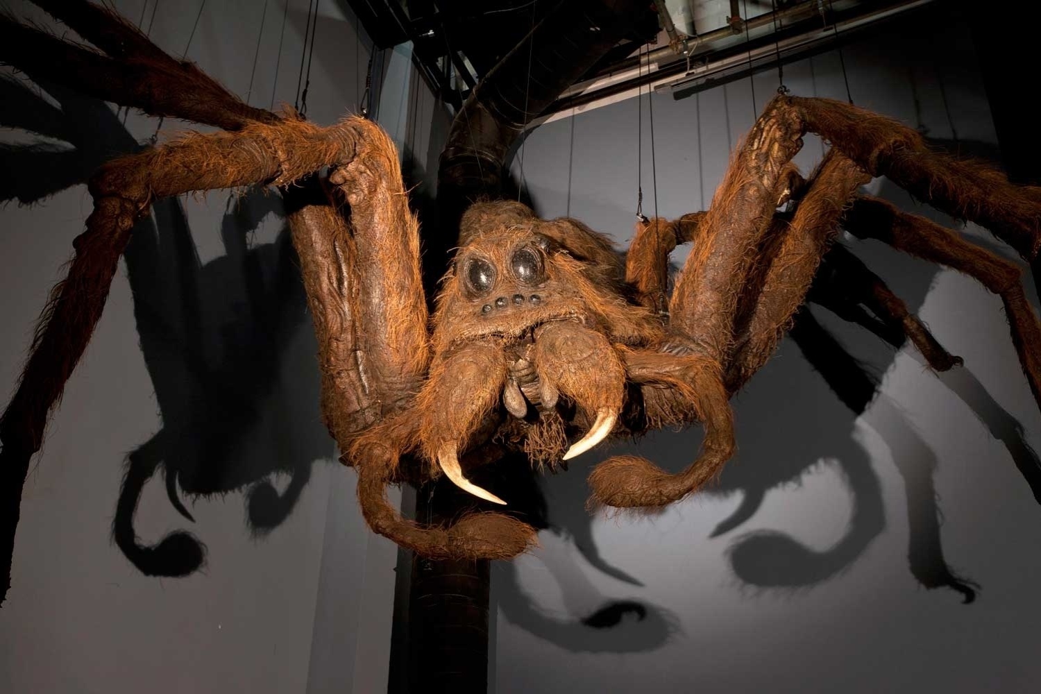 Aragogue Fotos: Warner Bros Studio Tour, na Inglaterra, mostra bastidores de ...