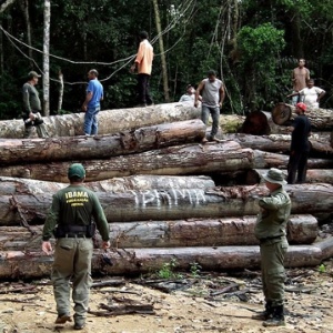 26.abr.2013 - Agentes do Ibama apreendem madeira obtida em desmatamento em cidades do Pará - Nicélio Silva/Ibama