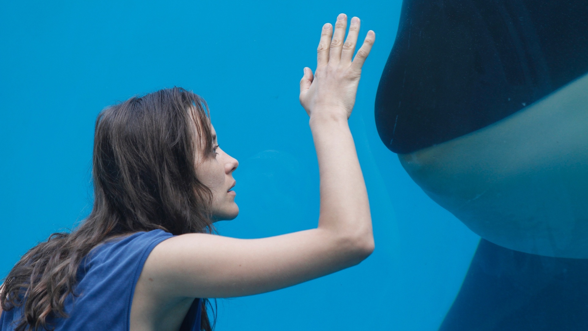 Cena do filme "Ferrugem e Osso", de Jacques Audiard e estrelado por Marion Cotillard - Divulgação / Sony Pictures