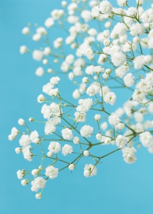 Thinkstock