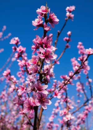Thinkstock