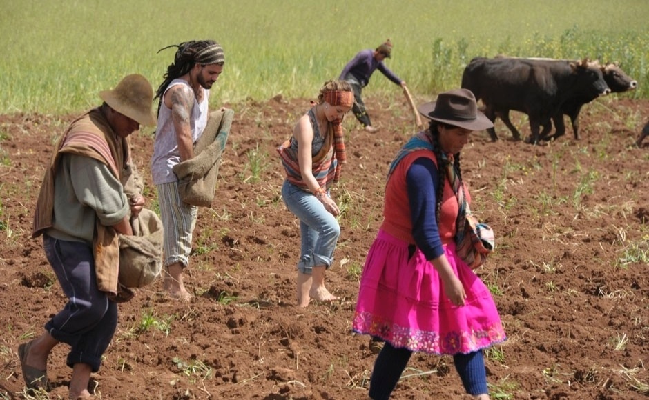 Os atores Juliano Cazarré e Paolla Oliveira plantam batatas no Peru durante gravações da nova novela das nove, "Amor à Vida"