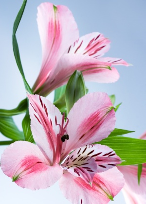 Thinkstock