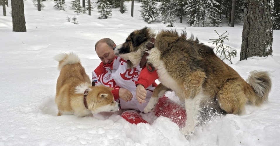March 24, 2013 - Dancing with the wolves, presidential Kazakh version: Putin plays with dogs during a walk in Moscow, March 2013 - Alexsey Druginyn/Reuters