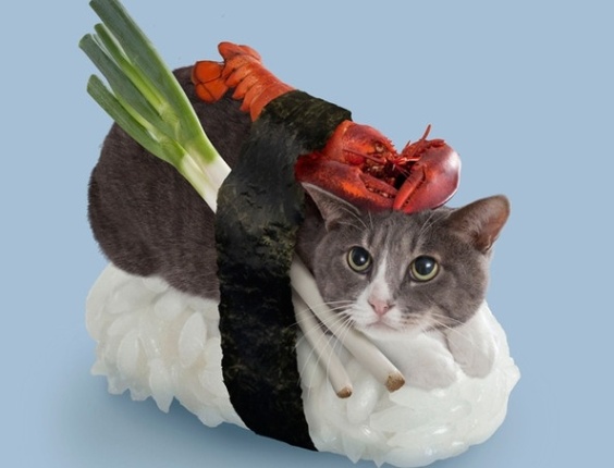8.mai.2013 - Neko-sushi, ou sushi cats, ou gatos-sushi receita da empresa japonesa Tange & Nakimushi Peanuts. Aos animófilos mais afoitos, CALMA: a brincadeira só é vendida em forma de quadro e aplicativos de celular
