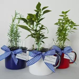 Fotos: Veja opções de lembrancinhas em vasos ou tubos com plantas e flores  - 29/05/2013 - UOL Universa