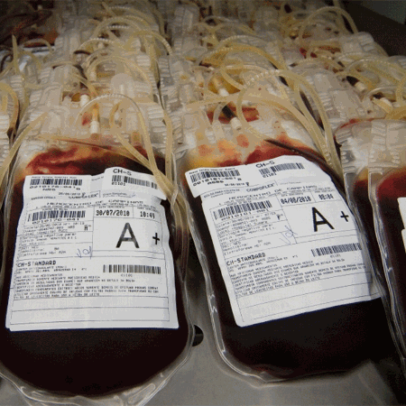 Banco de sangue, com bolsas utilizadas para transfusão - Filipe Redondo/Folhapress