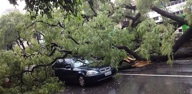 Com chuva e vento, árvore cai e atinge carro na avenida Rio Branco, no centro de São Paulo - Marco Ankosqui/Folhapress