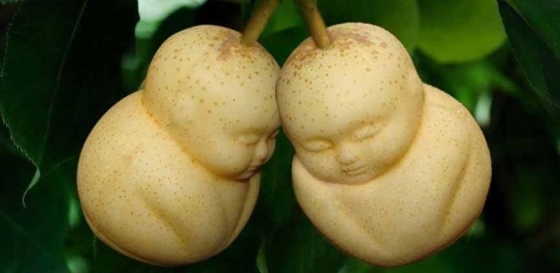 Peras no formato de Buda, criação da empresa chinesa Fruit Mold - Divulgação/fruitmold.com