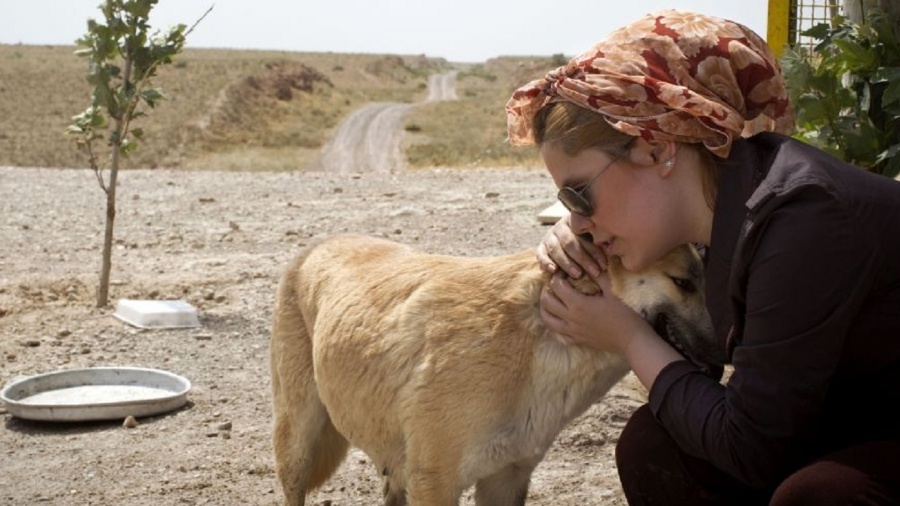 Cachorro e mulher no Irã. Animais não são bem aceitos por políticos conservadores - Behrouz Mehri/AFP