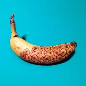 Japonês faz desenhos artísticos em cascas de bananas - Bizarro - Extra  Online