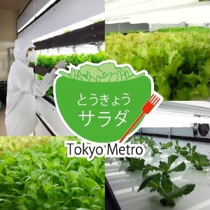 Projeto "Tokyo Salad" mantém horta hidrpônica em linha de metrô - Divulgação/tokyometro.jp