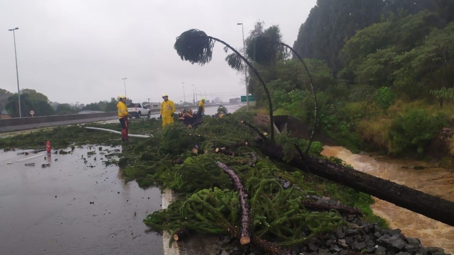 Ventania derrubou árvores em Xanxere (SC) - Divulgação/CBMSC