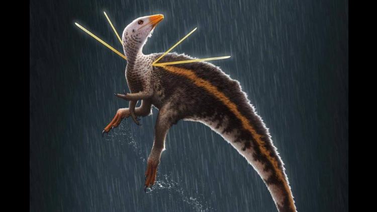 Concepção artística do dinossauro brasileiro Ubirajara jubatus, cujo fóssil voltará ao país Concepção artística do dinossauro brasileiro Ubirajara jubatus, cujo fóssil voltará ao país